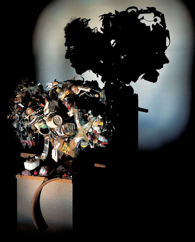 Illustration for article titled Gruesome shadow art transforms garbage and mummified rats into severed heads